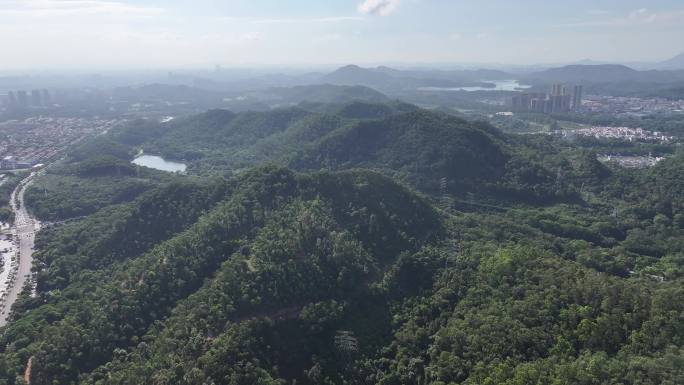 广东省东莞市黄旗山城市公园航拍