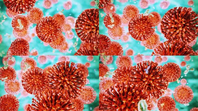 甲型流感病毒冠状病毒免疫系统免疫反应