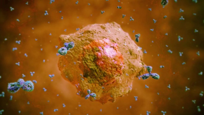 抗体攻击病毒细胞免疫反应免疫系统抗病毒