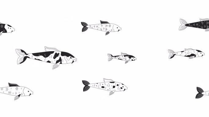 日本鲤鱼鱼游泳大纲卡通动画