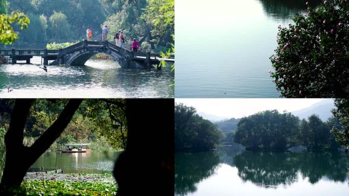 杭州西湖旅游西湖以西杨公堤实拍