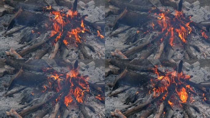 露营区干燥树枝燃烧的火焰。