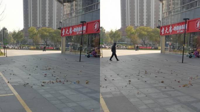 济南冬天，风卷落叶