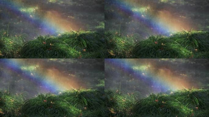 水洒在草地上 形成的美丽彩虹