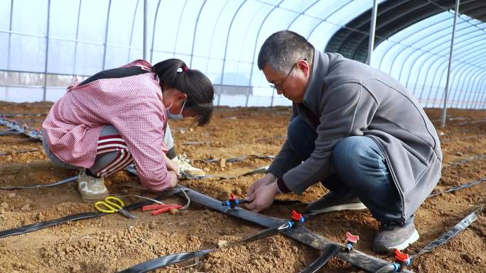 滴灌带 温室大棚 黑软管 节水设施 裸地