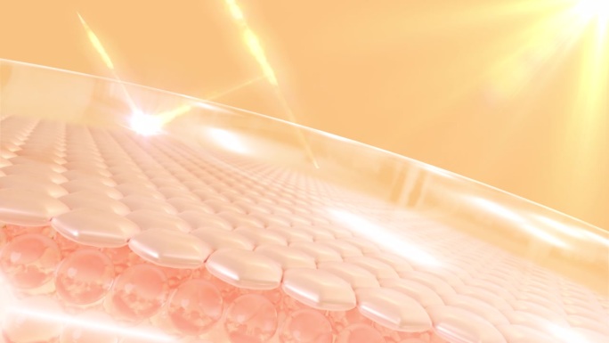 皮肤细胞的防紫外线3D动画