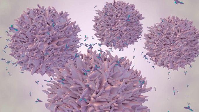被称为淋巴细胞的白细胞是人体免疫系统的一部分。