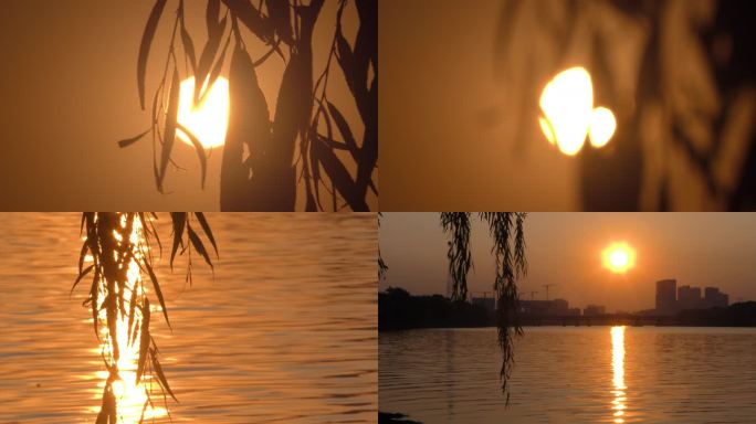 河边日落夕阳风景傍晚文艺情感素材柳树剪影