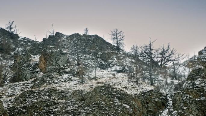 布满雪的岩石山坡。稀有的西伯利亚树木紧贴在山坡上。天在下雪，阴天。贝加尔湖，西伯利亚，俄罗斯。
