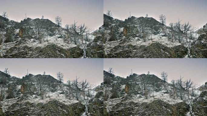 布满雪的岩石山坡。稀有的西伯利亚树木紧贴在山坡上。天在下雪，阴天。贝加尔湖，西伯利亚，俄罗斯。