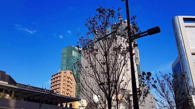 低角度观看东京的高层办公大楼