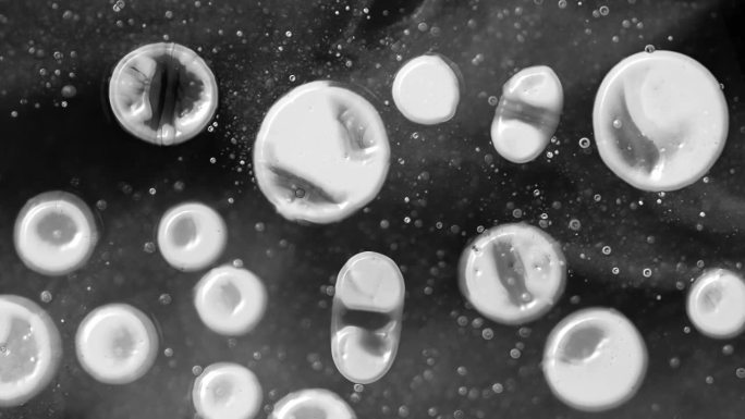 显微镜下的球形突变细胞，黑色背景
