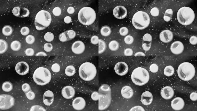显微镜下的球形突变细胞，黑色背景