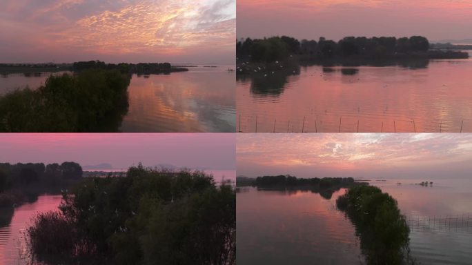 绝美晚霞梁子湖畔水中树林上白鹭水鸟群航拍