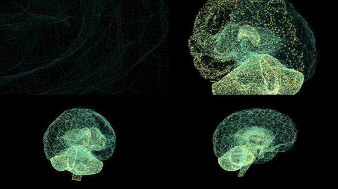 缩小在黑色背景下工作的3D大脑模型神经元