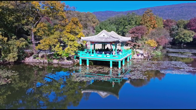 流徽榭，藏在南京紫金山中山陵里的秋日宝藏