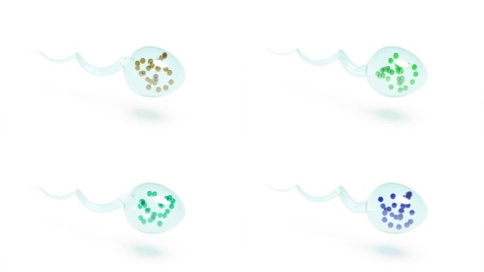 玻璃模型精子与彩色DNA内的生物细胞能够无缝循环