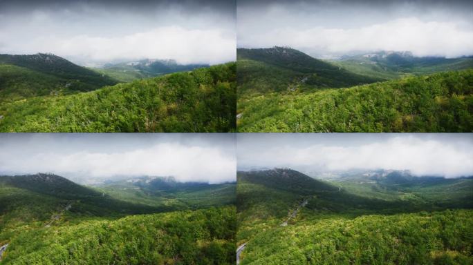 一条充满活力、蜿蜒而又危险的山路，车辆穿梭于长满树木的山丘之间。天空中有雷云，覆盖着绿色的高原。光线