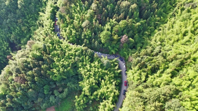 航拍山城重庆乡村公路秋色