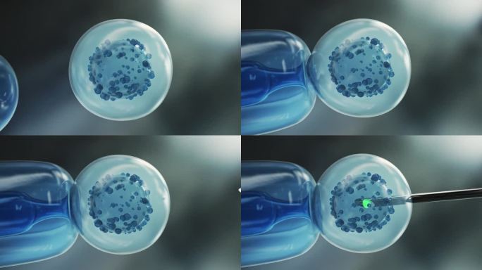 针头将生物材料通过膜插入细胞。干细胞注射的医学电影宏3d动画。