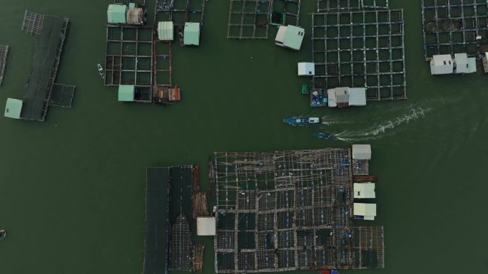 航拍视频牡蛎和cobia养殖筏村在巴里翁头省海岸，龙子筏村