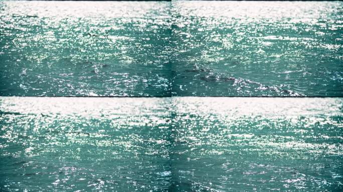湖面光斑河水波光粼粼水面波浪湖水光特写
