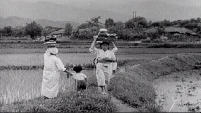日本工业革命前的农业种植