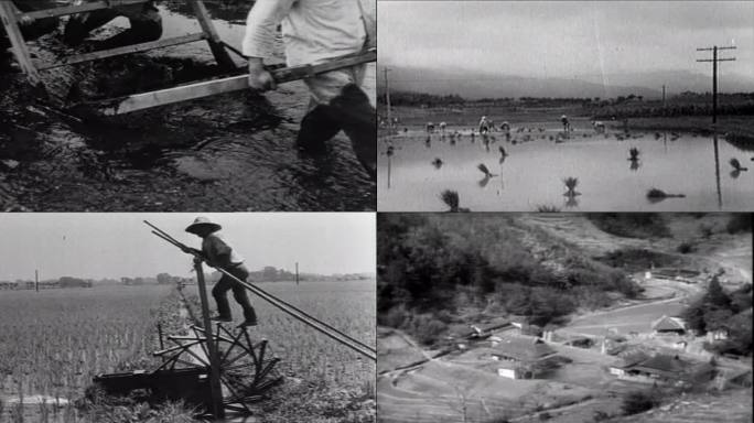 日本工业革命前的农业种植