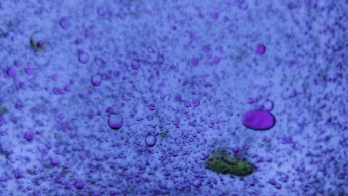微观世界中的液体气泡。绿色气泡受到紫色气泡的推动而消失。
