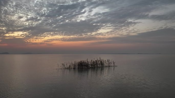 梁子湖广袤湖面上一撮孤独的芦苇配绝美晚霞