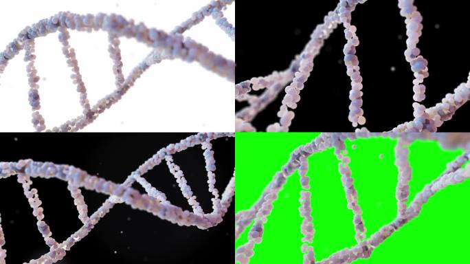 DNA分子来自白色，黑色和绿色屏幕背景上的颗粒。可用于教育、科学或化妆品行业背景。动画。