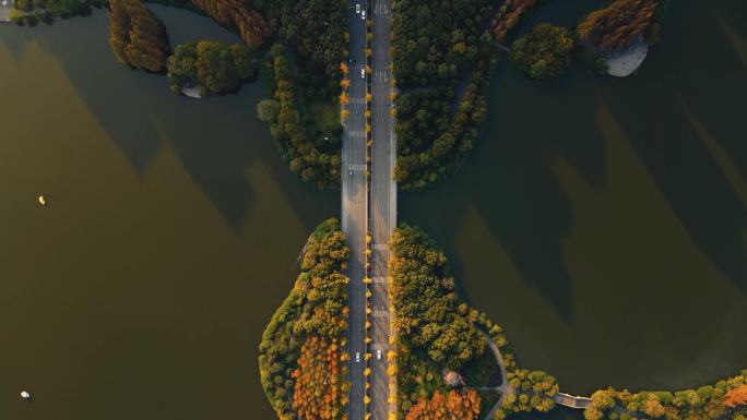 成都南湖湿地公园航拍