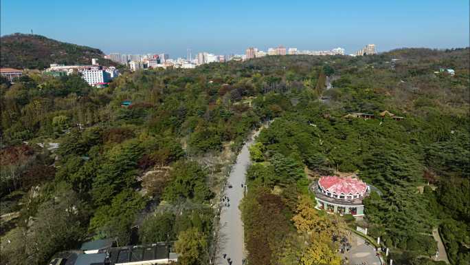 航拍延时-中山公园太平山