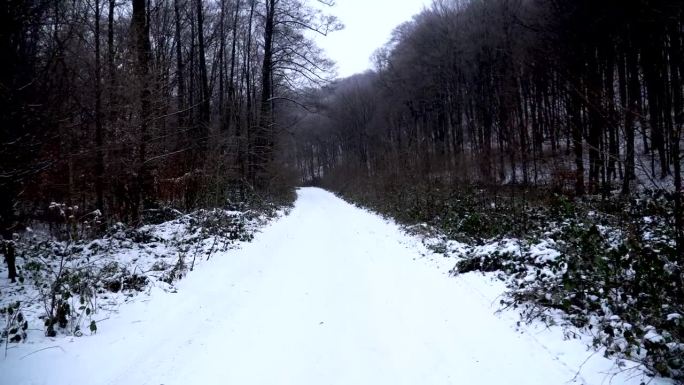 冬天在树林里挖隧道，白雪覆盖的道路，冬天的树林