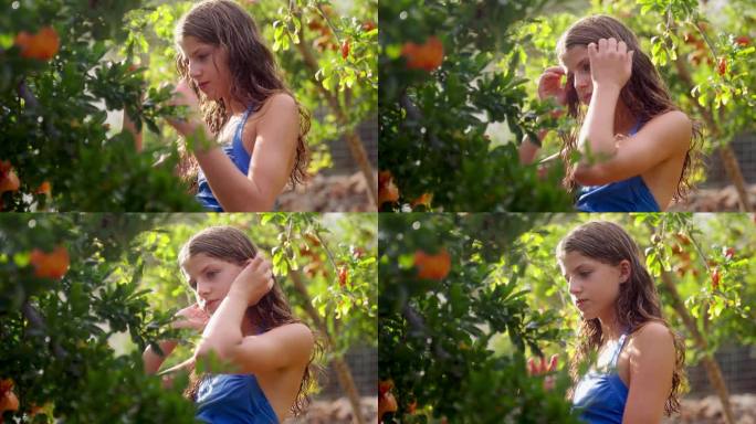 一个女孩在苹果园愉快的一天