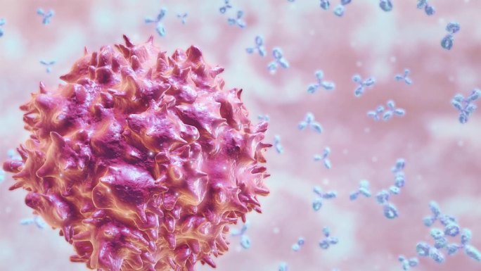 抗体攻击病毒细胞免疫系统免疫反应白细胞