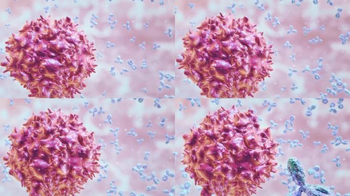 抗体攻击病毒细胞免疫系统免疫反应白细胞