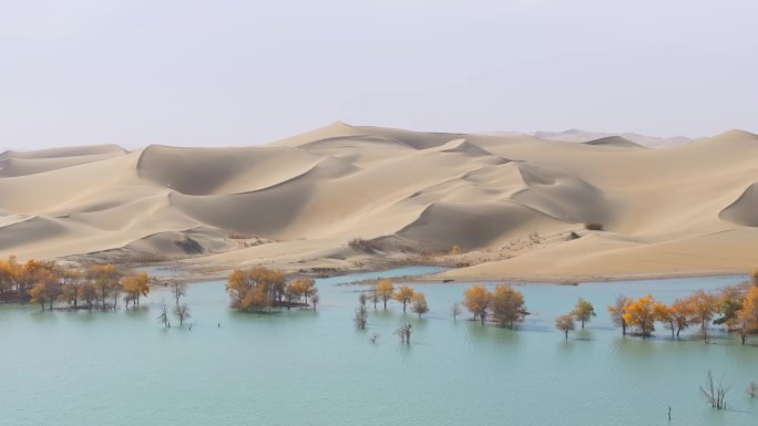 航拍秋天的新疆葫芦岛风景