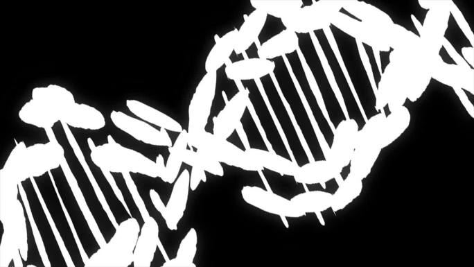 螺旋状的白色DNA链。双螺旋人类DNA结构。基因脱氧核糖核酸，DNA分子，载体图解