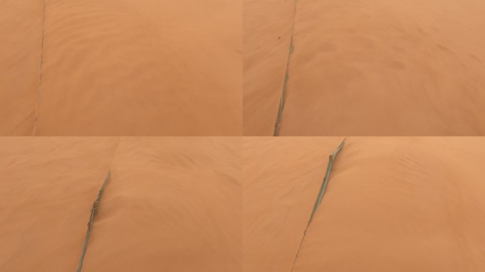 沙漠掩埋的围栏网