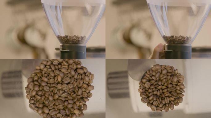 咖啡冲泡咖啡豆