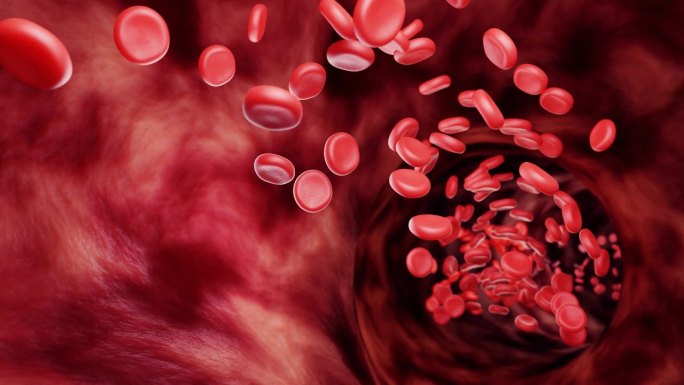 红血球在动脉或血管中，在人体内部流动，具有医疗保健作用。3 d渲染。