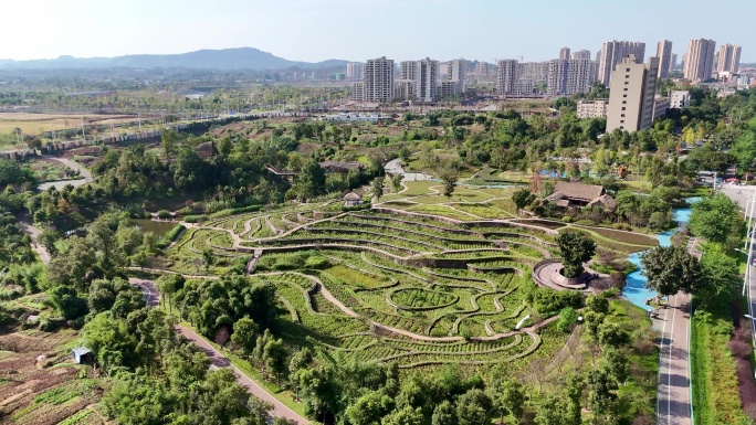 航拍重庆铜梁见水公园梯田风光