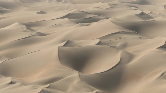航拍新疆塔克拉玛干沙漠的金色沙丘
