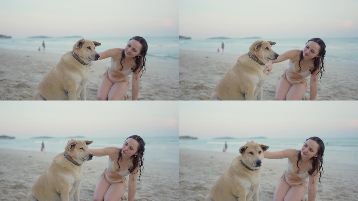 度假期间，女人在海滩上与狗狗休息
