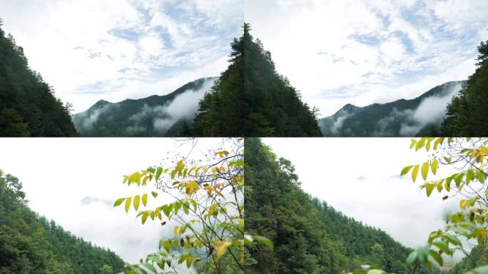 大山，云雾笼罩的山峰，山峰，大山深处