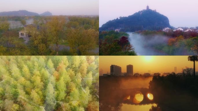 南通植物园梦幻雾景，山脚雾景