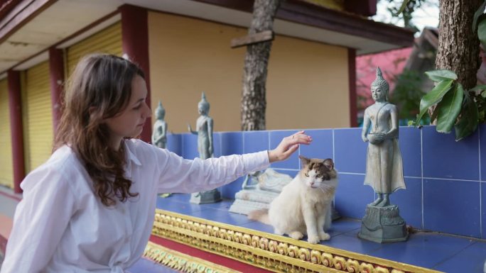 在佛教寺庙里抚摸猫的女人