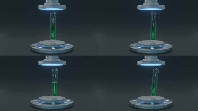 植物在试管内发芽生物实验室绿植在试剂生长