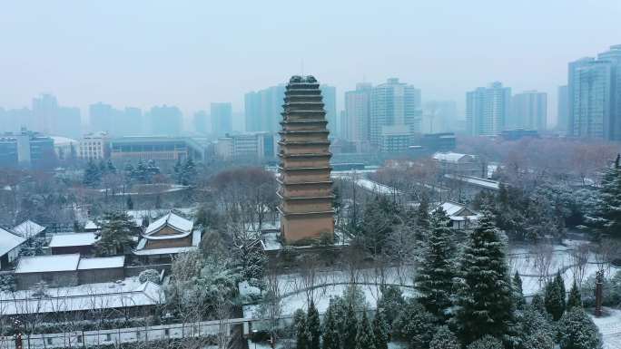 西安小雁塔雪景2